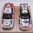 Safari rally 1999